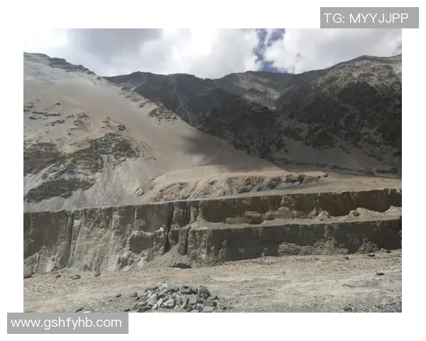 陈秀英回顾英雄联盟S15赛季的成长与挑战之路