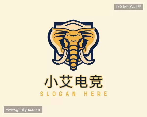 介绍小艾电竞
